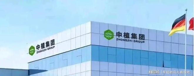 巴西战平摩洛哥,中场被压制,布阿迪闪耀世界杯值八千万