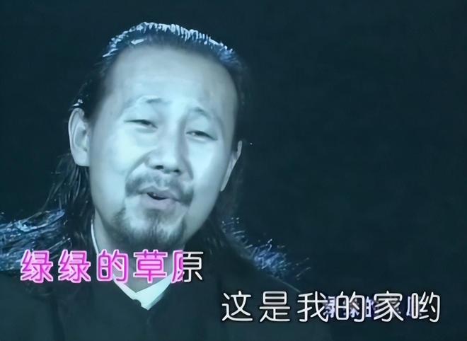 世界杯抢镜王：宠物鸭“梅林”身披墨西哥战袍走红网络
